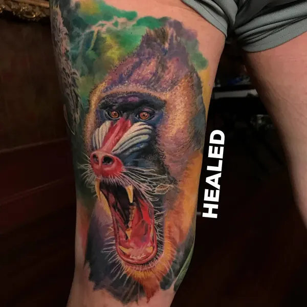 Tiger