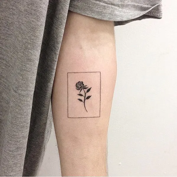 Flower, Rose