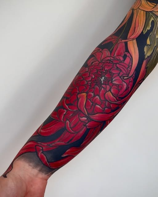 Flower, Rose