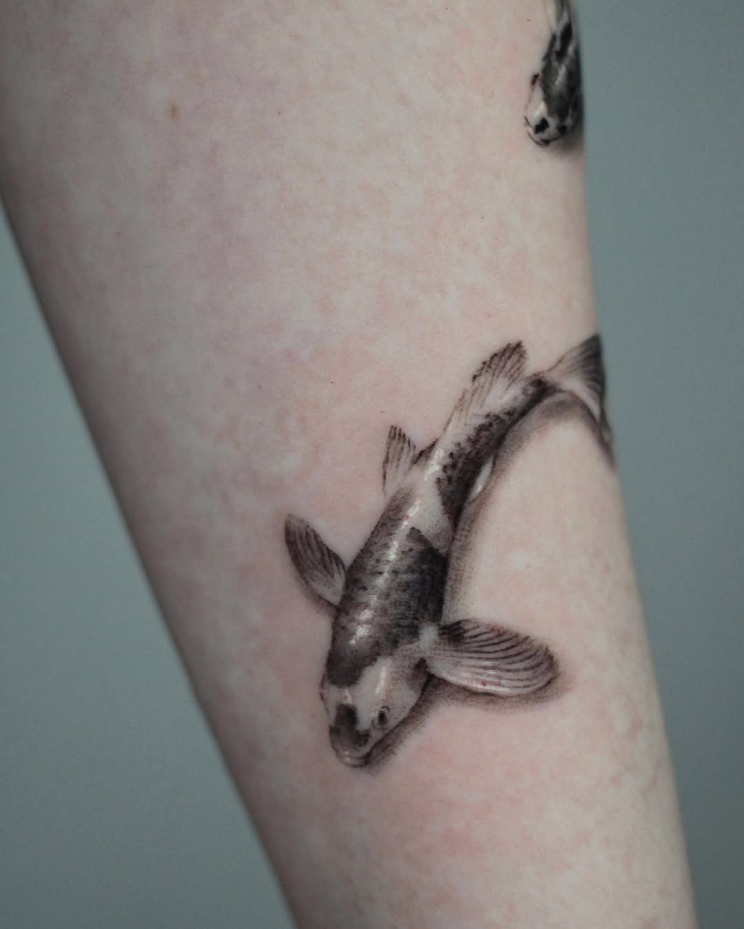 40.tatt