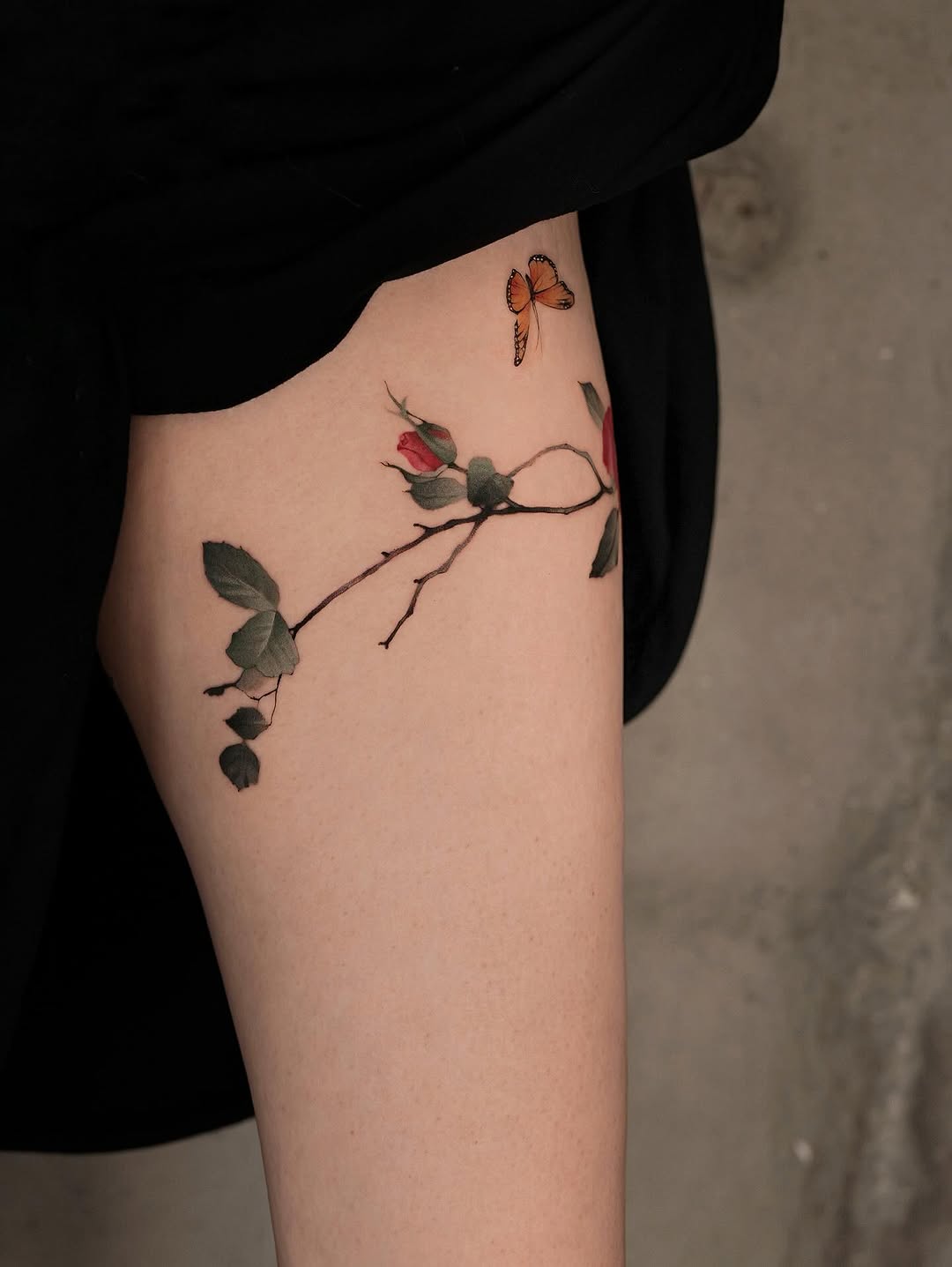 Rose, Nature, Flower