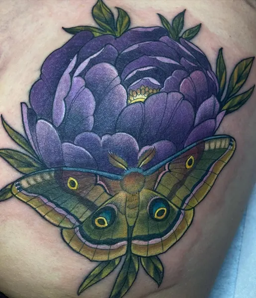 Animal, Nature, Flower, Rose