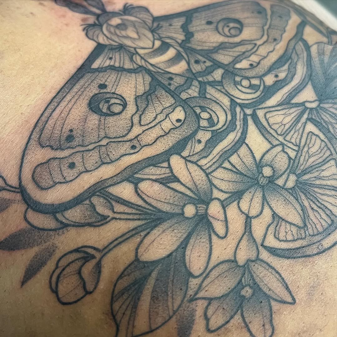 sarastigmata