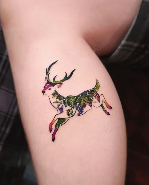 equilattera
