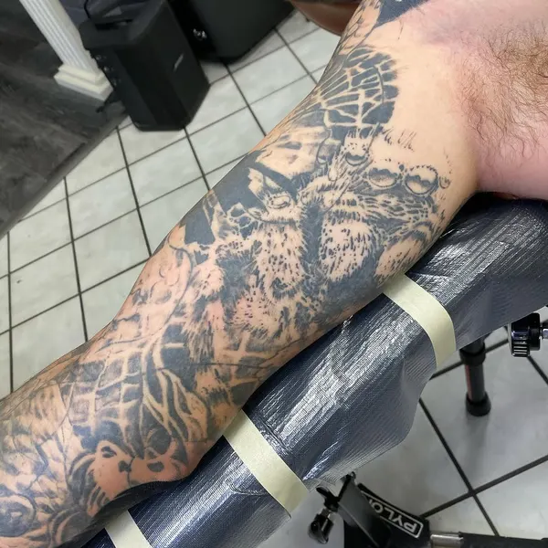Dragon, Animal