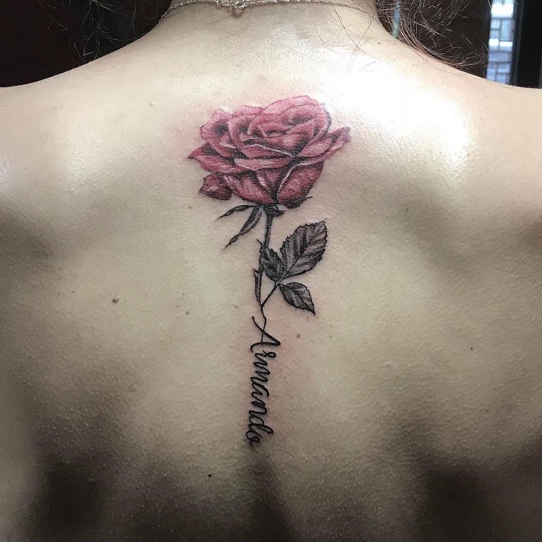Flower, Rose, Nature