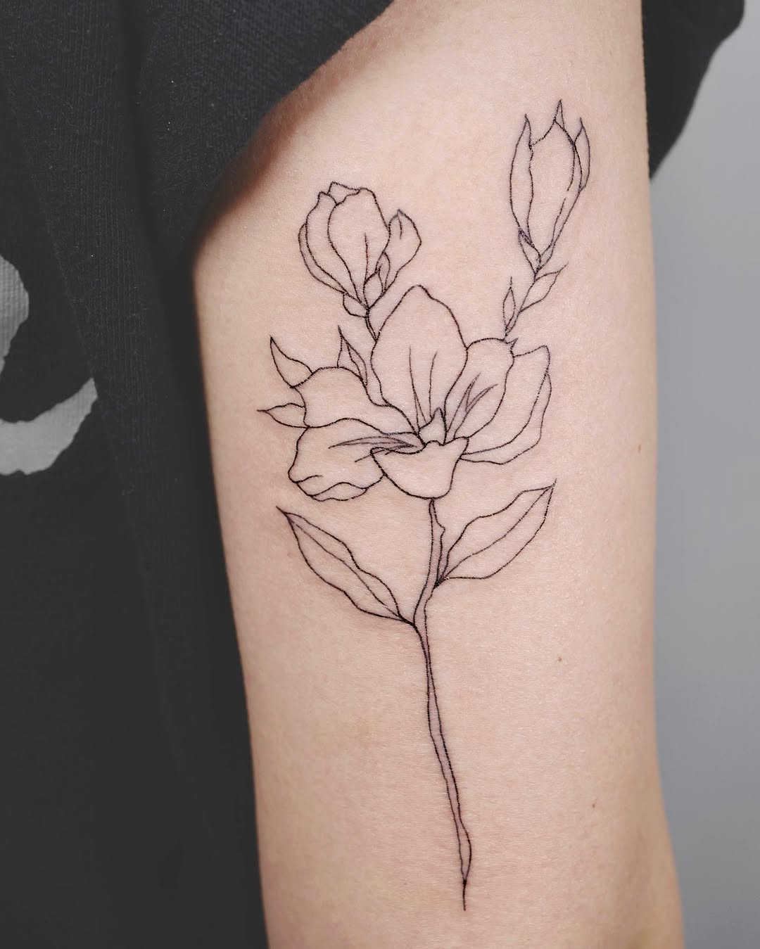 Rose, Flower