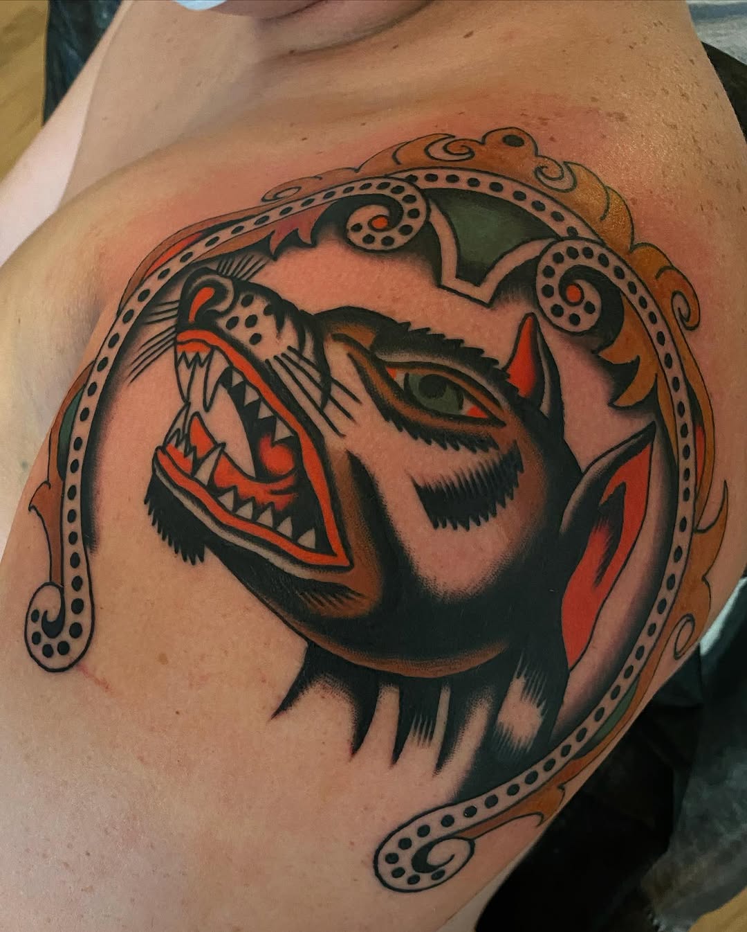 Tiger, Animal