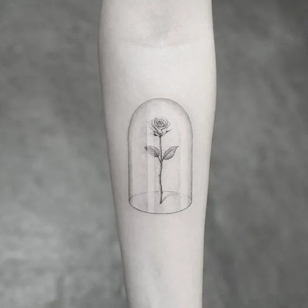Flower, Rose