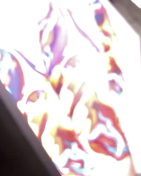 fullproof.bloom