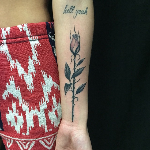 Flower, Rose