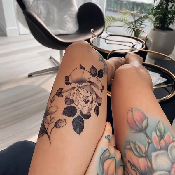 Flower, Rose