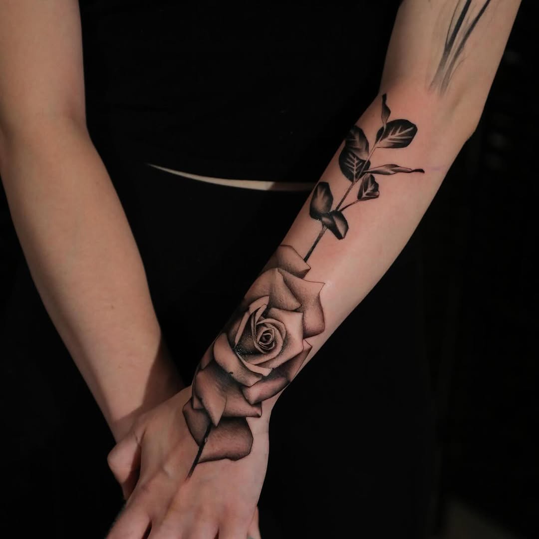 Flower, Rose