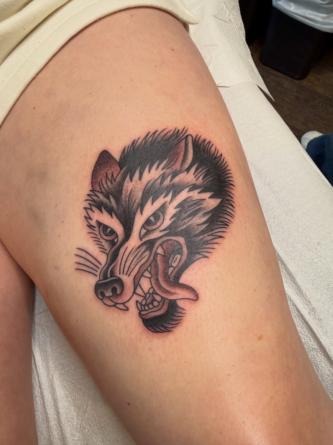 Animal, Tiger