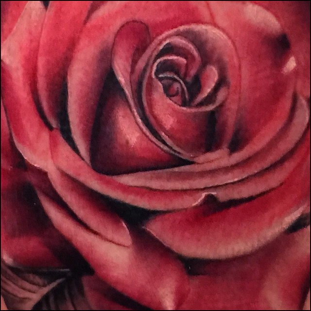 Flower, Rose