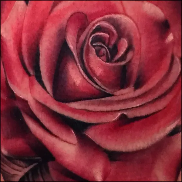Flower, Rose