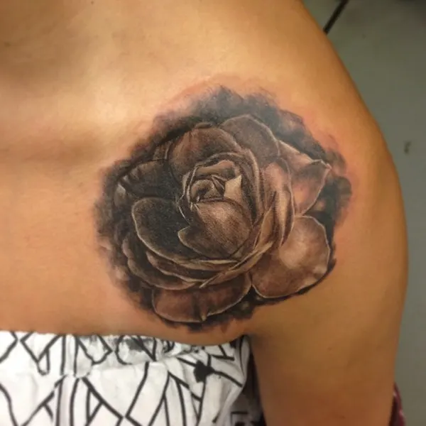 Flower, Rose, Nature