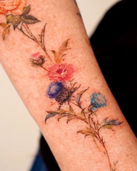 Flower, Rose