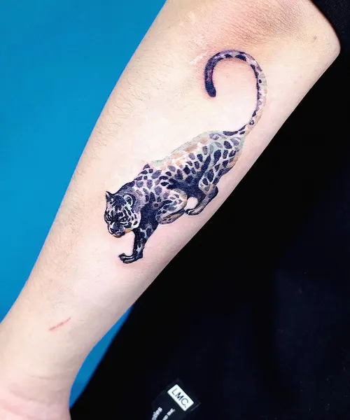 Tiger, Animal, 표범, 팬서, 치타