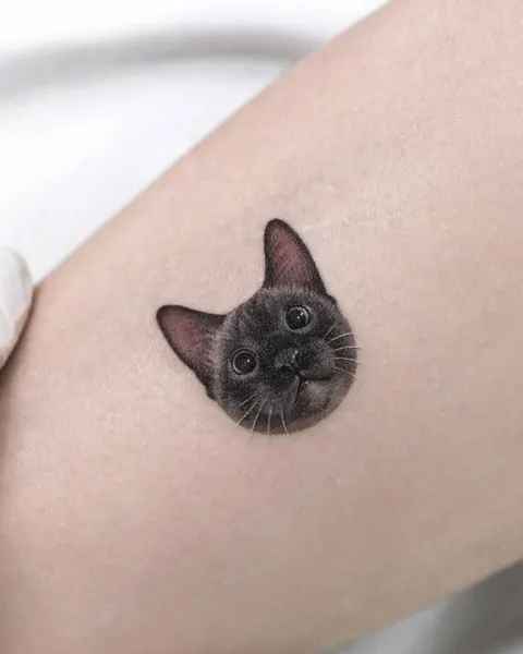 고양이