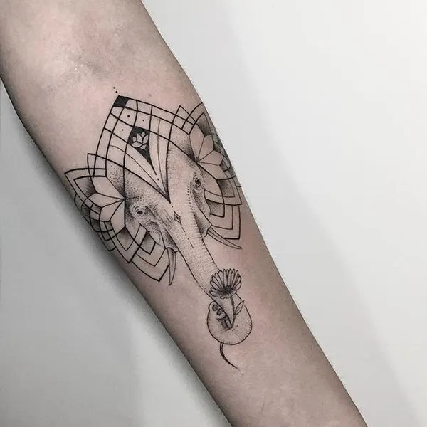 equilattera