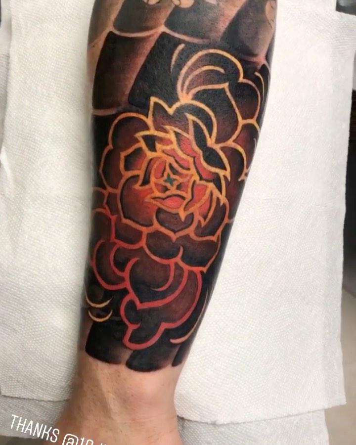 Flower, Rose