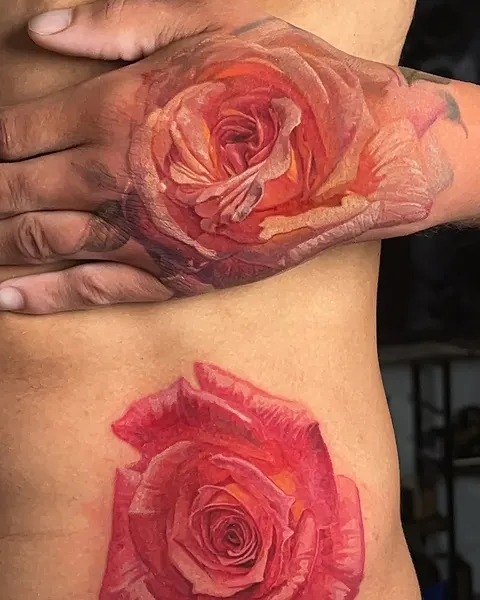 Flower, Rose