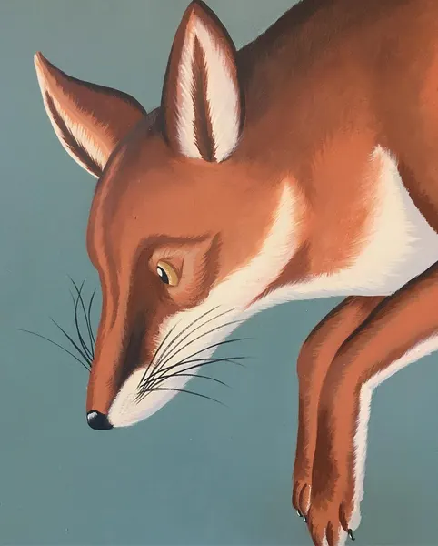 Animal