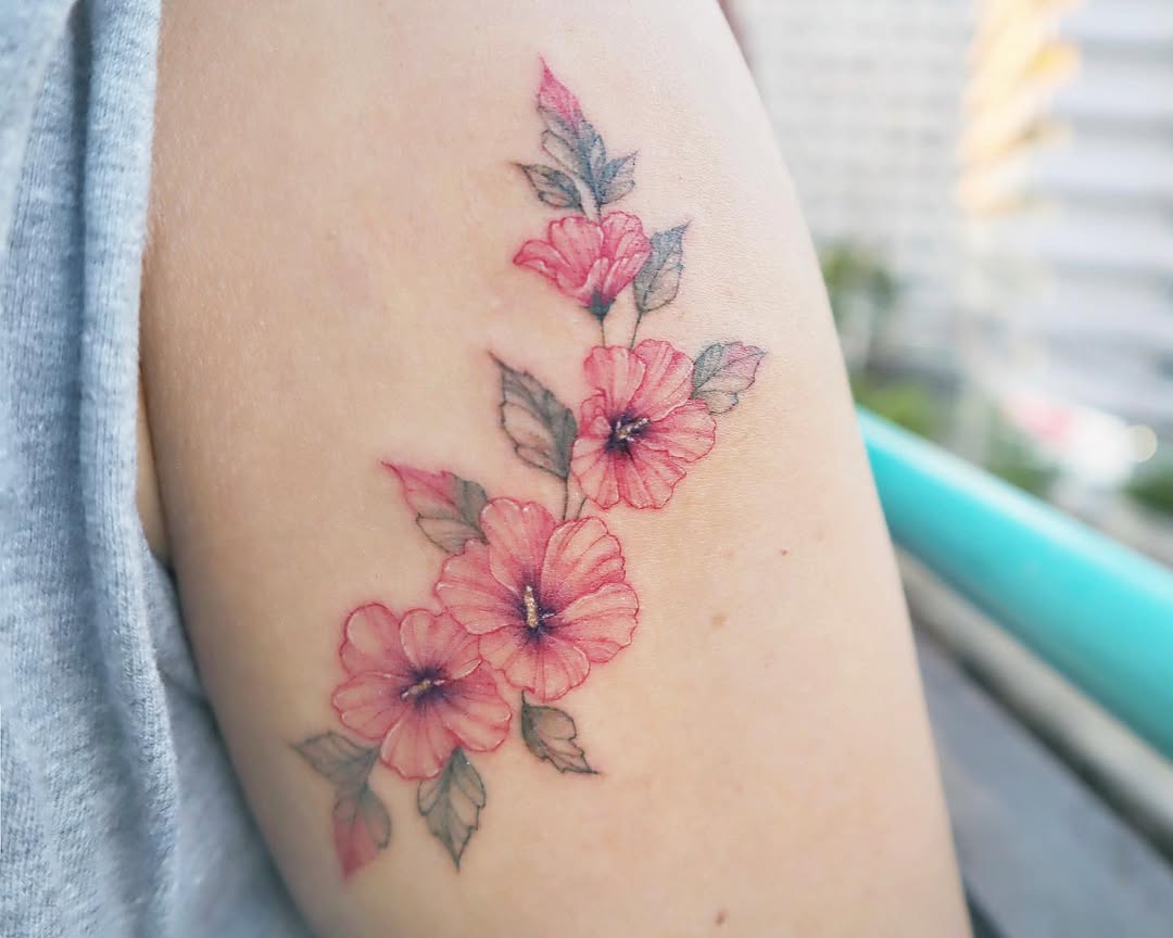 Flower, Rose