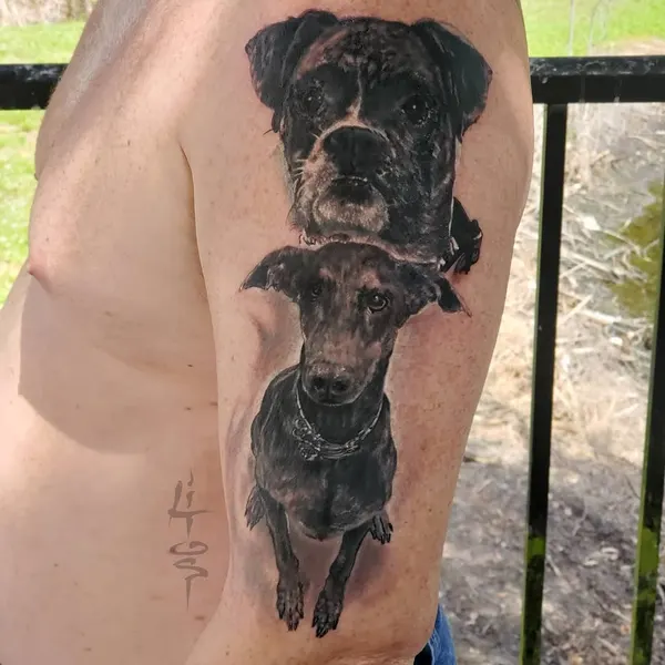 Animal