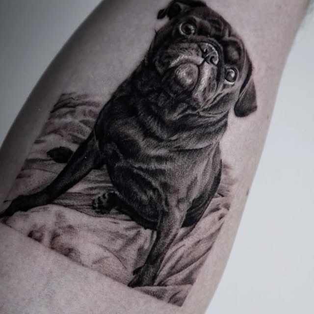 kate_sv_art