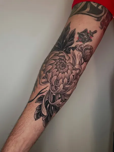 Flower, Rose