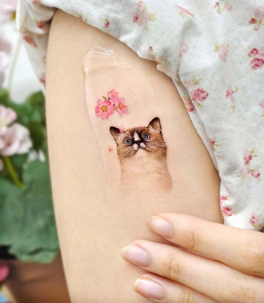 song.e.tattoo