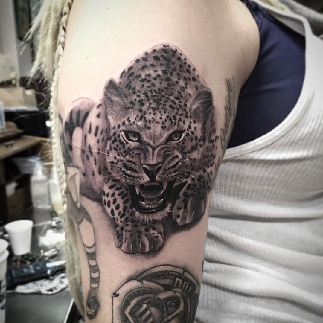 Animal