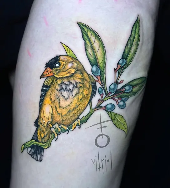 Animal, Flower