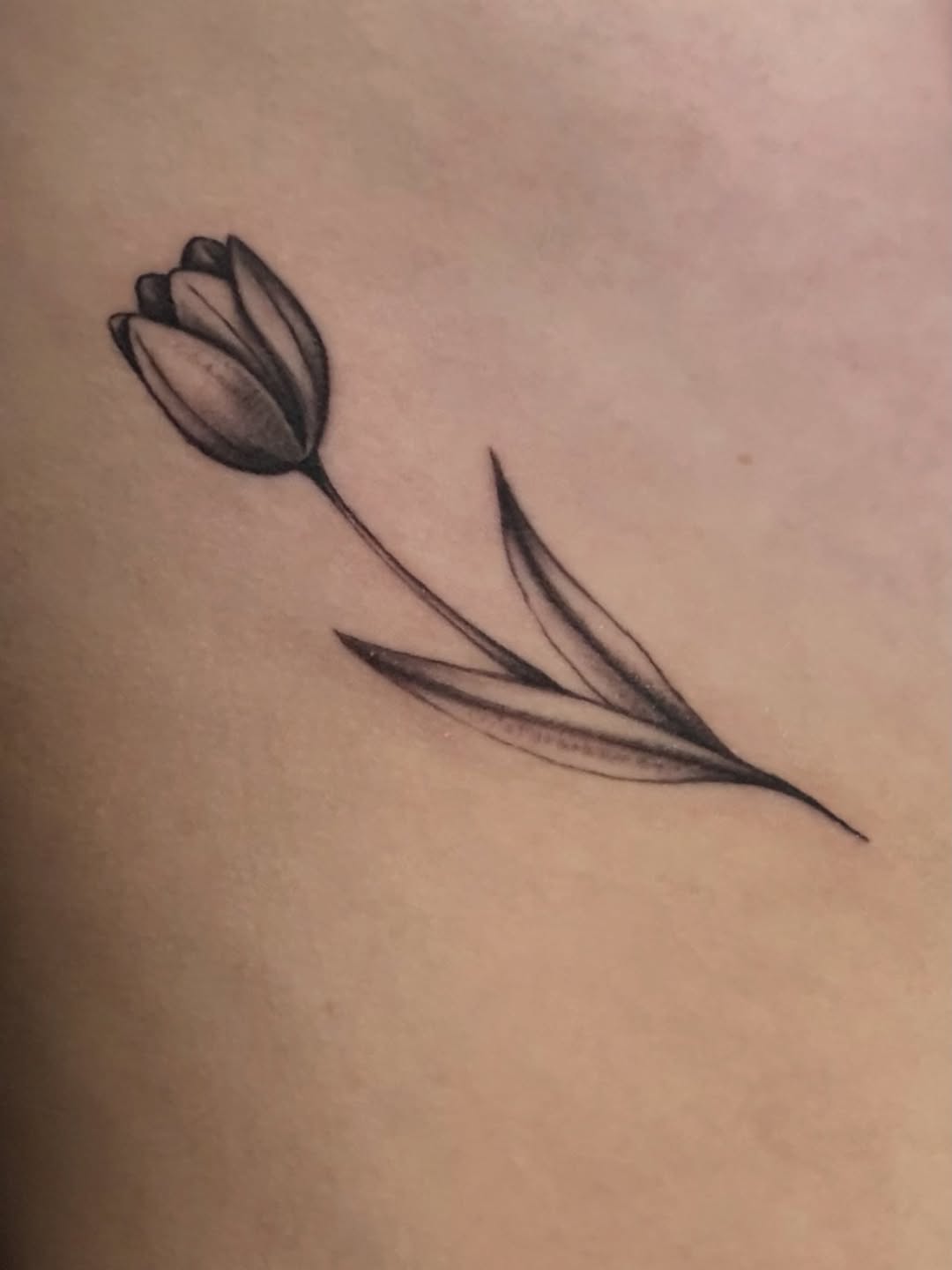 Flower, 튤립