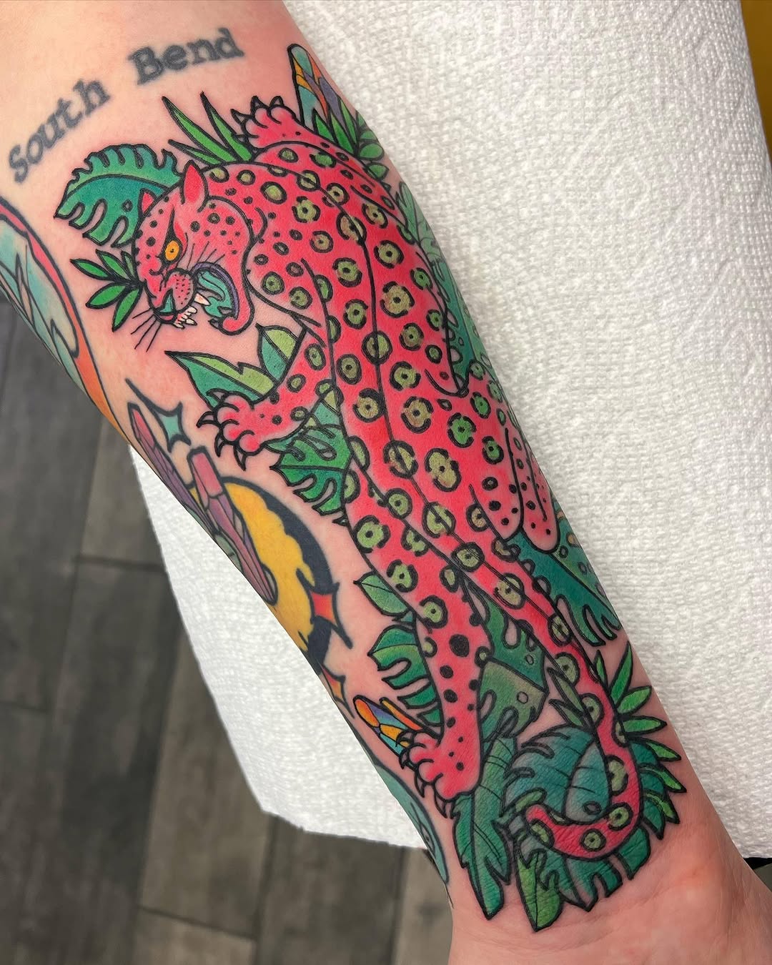 Animal, Tiger