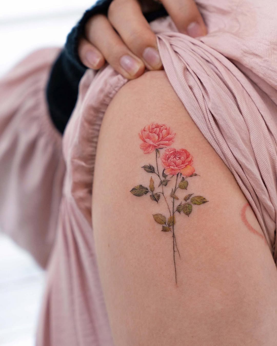 Flower, Rose