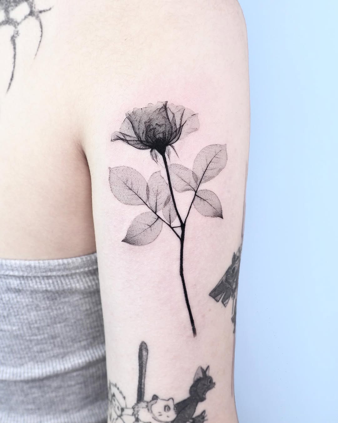 Flower, Rose, Nature