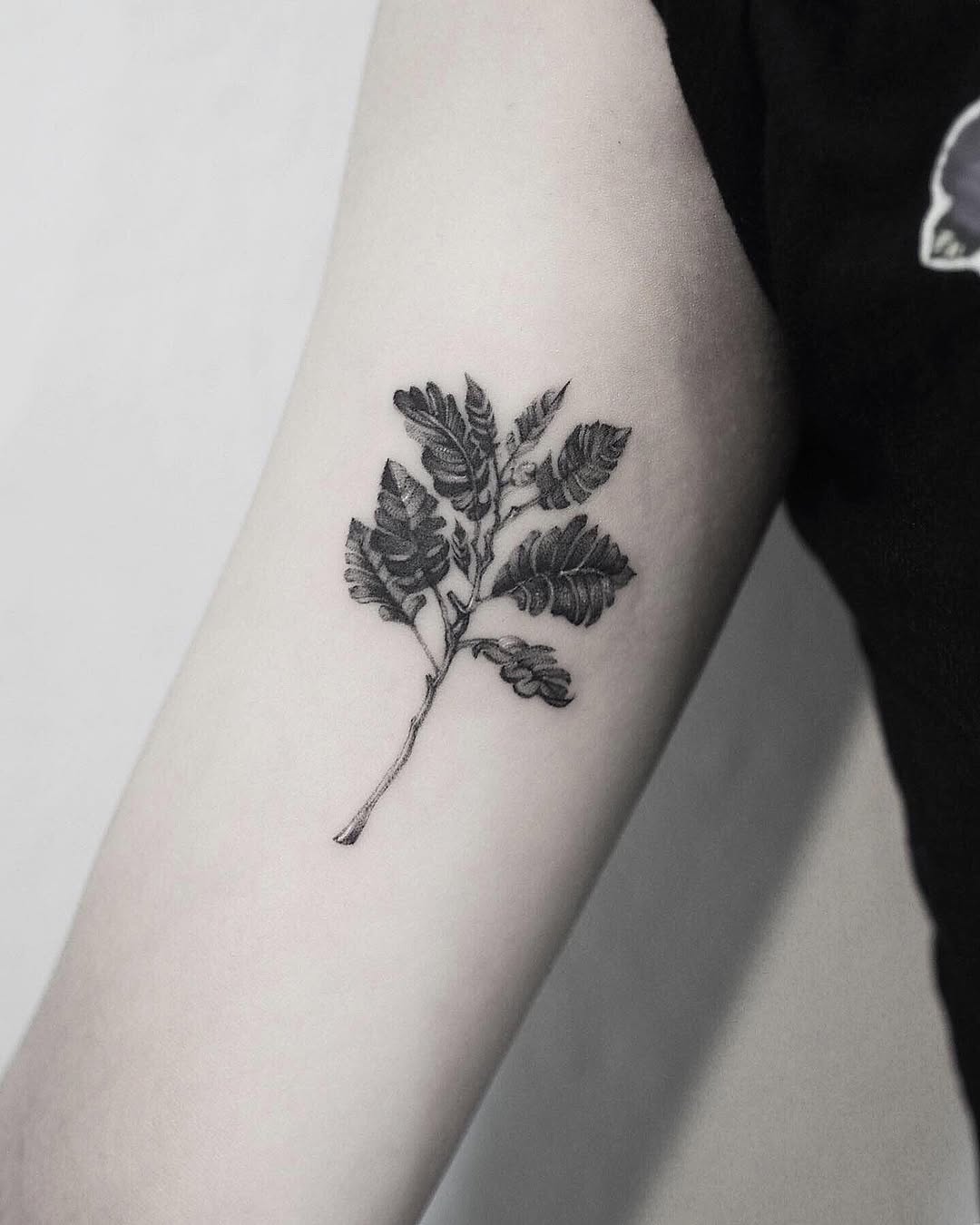 Rose, Flower