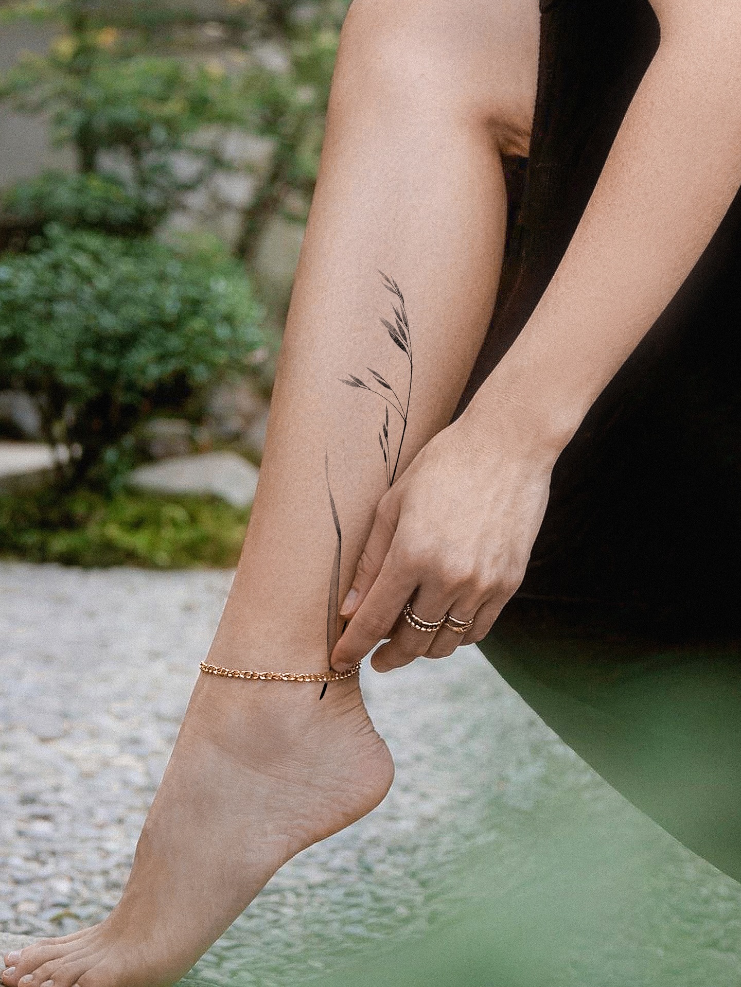 Flower, Nature, Rose
