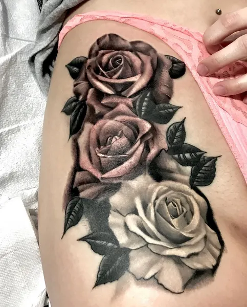 Rose, Nature, Flower