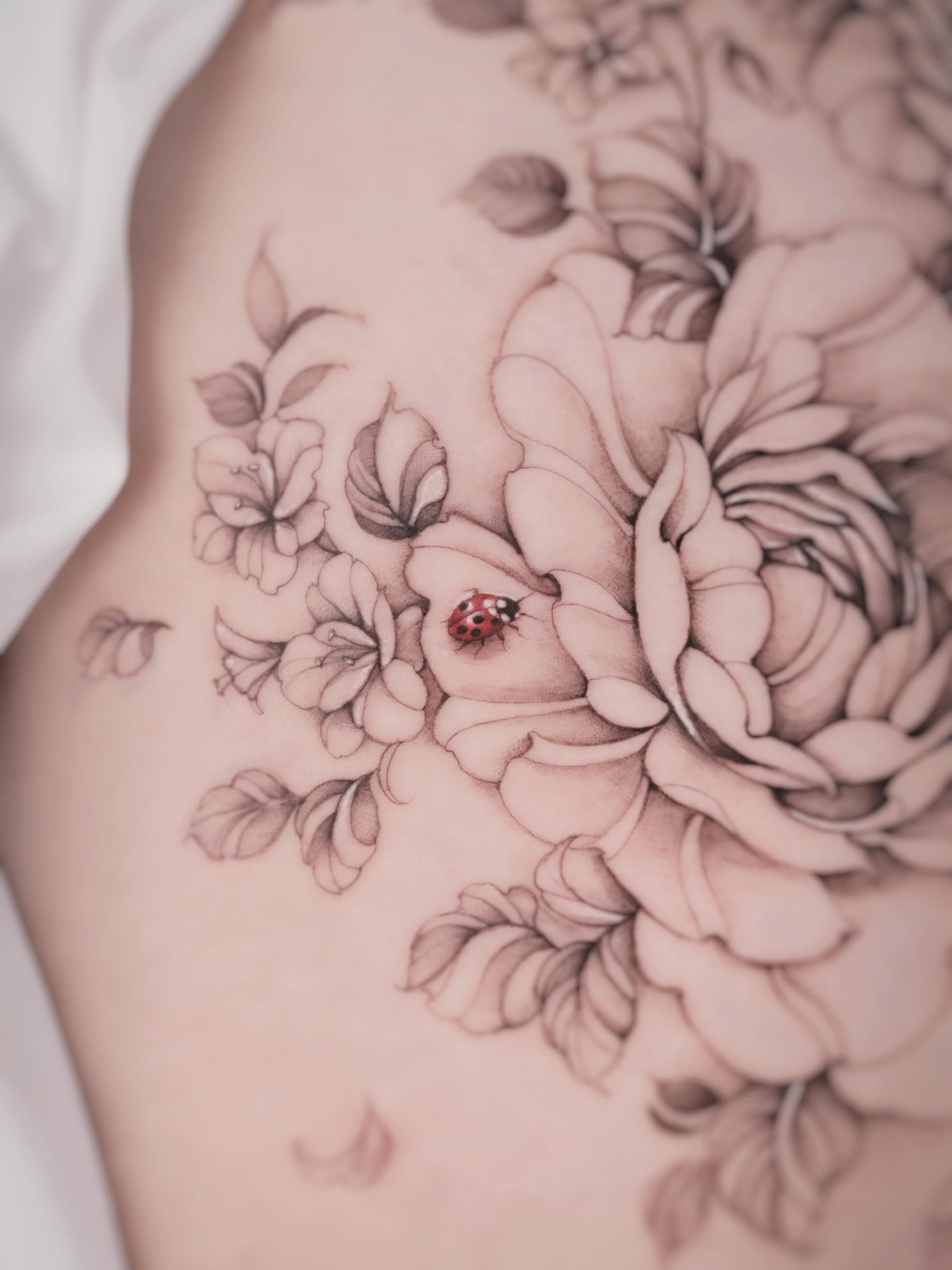 Flower, Rose