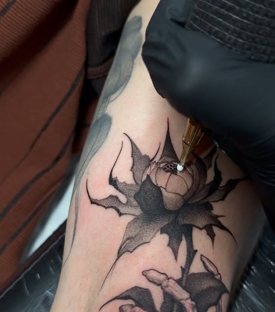 Flower, Rose
