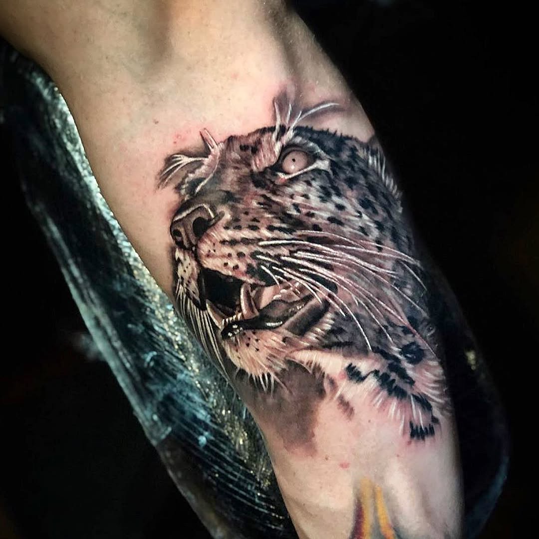 Animal