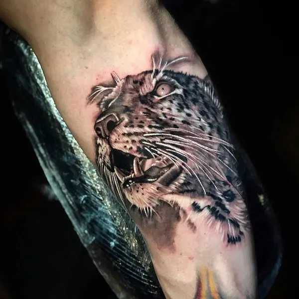 Animal