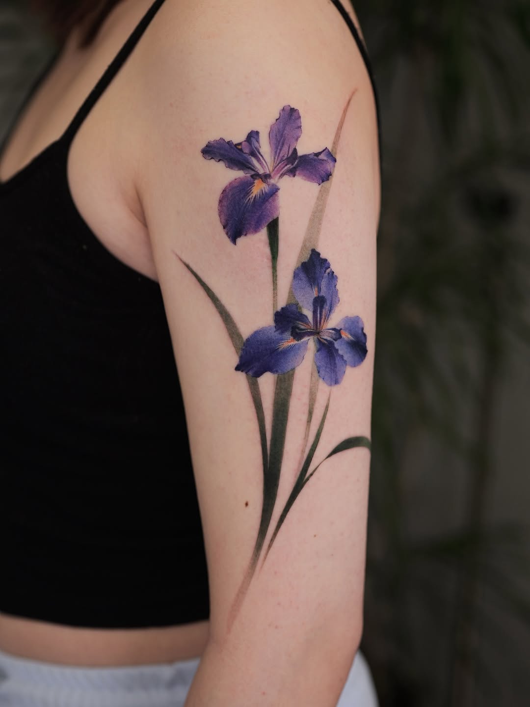 Flower, 난초, 아이리스, 백합, 튤립