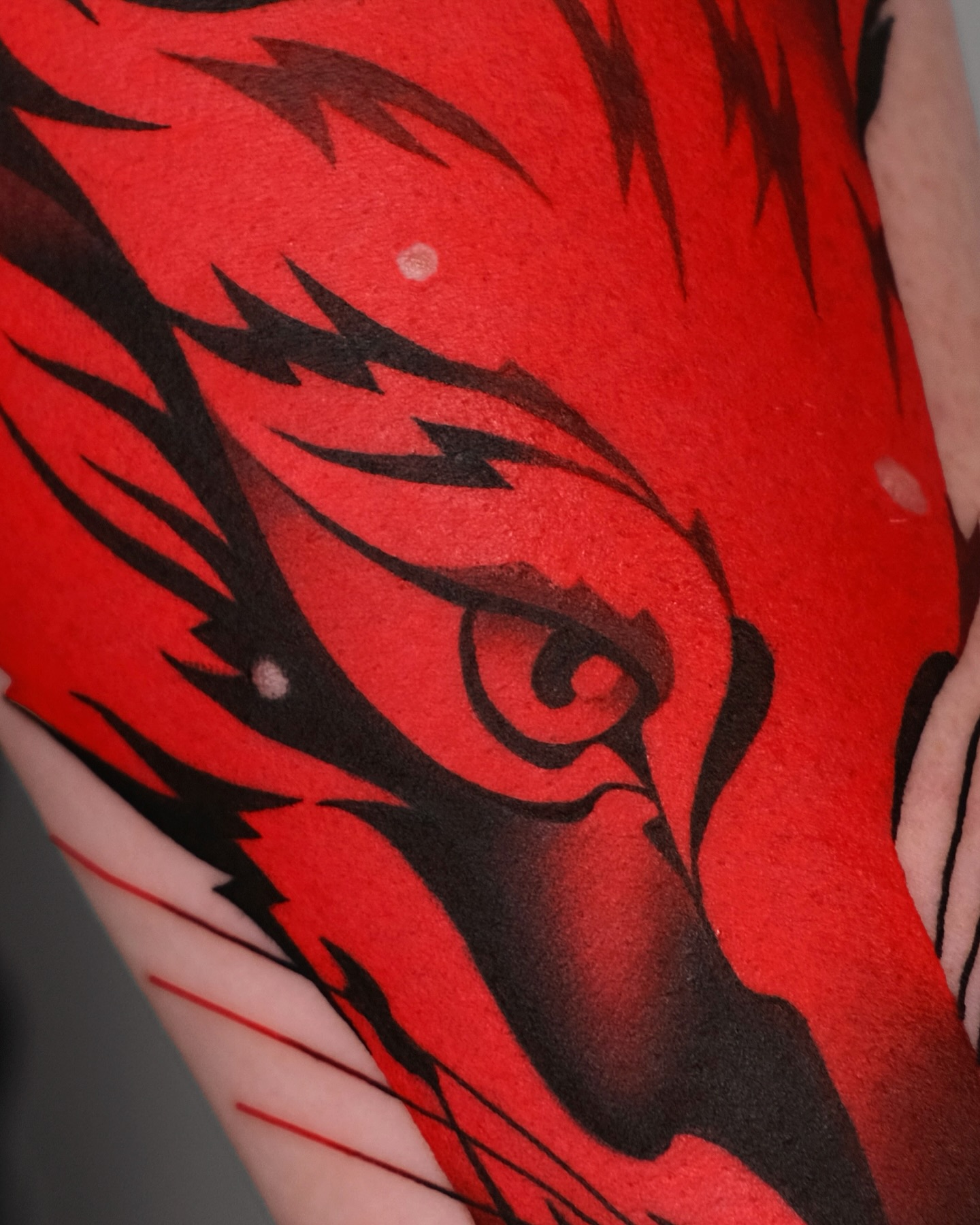 Animal, Tiger