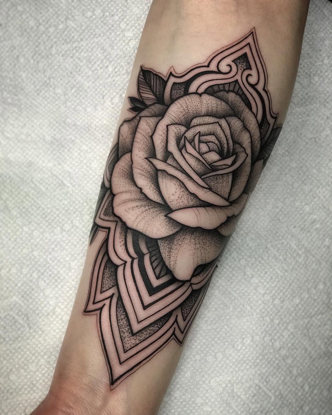 Flower, Rose