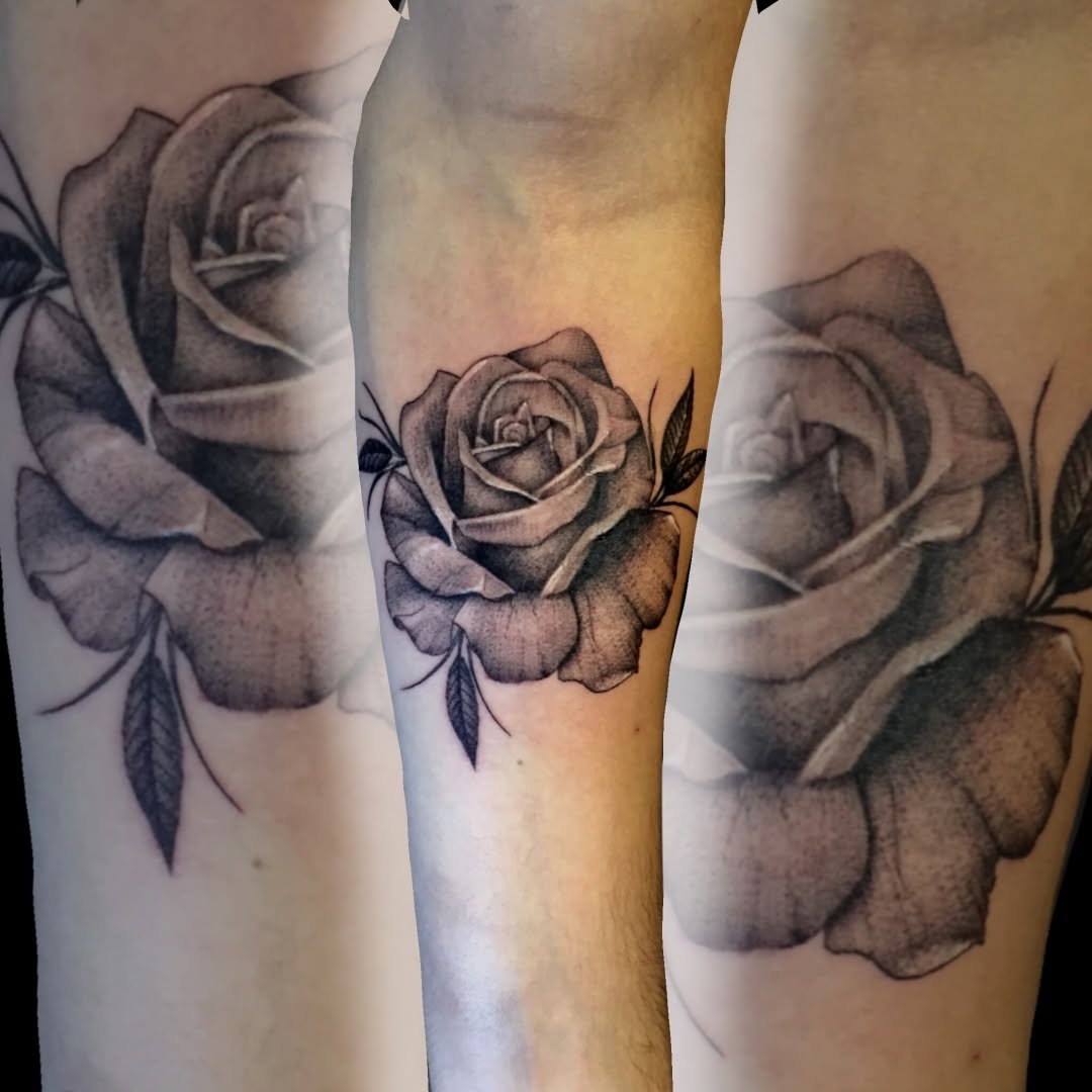 Flower, Rose